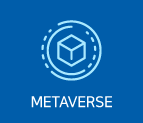 METAVERSE